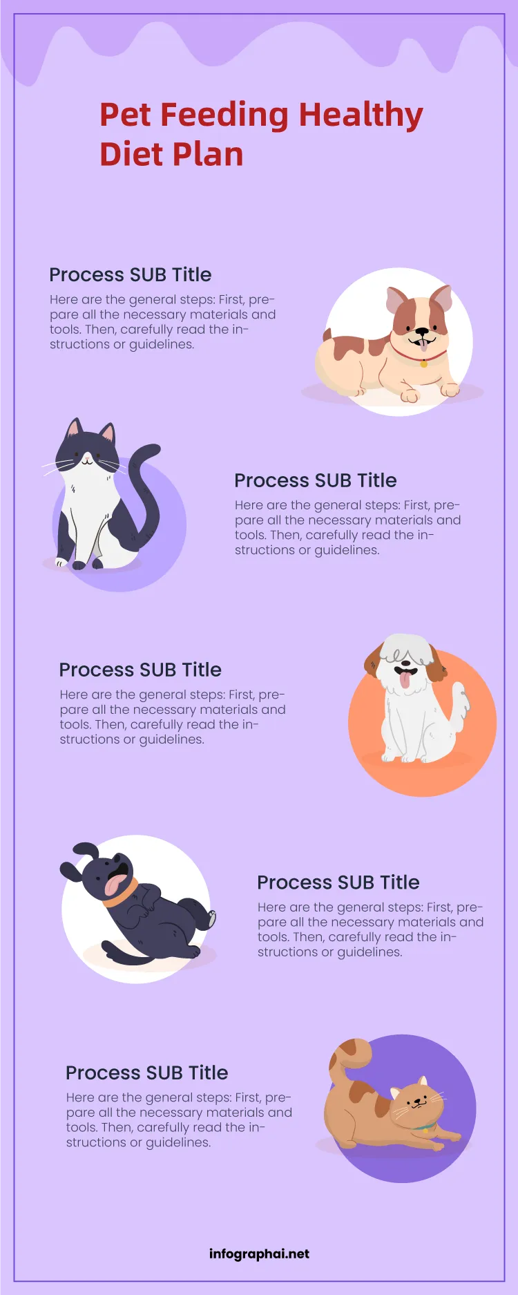 Pet Feeding Healthy Diet Plan