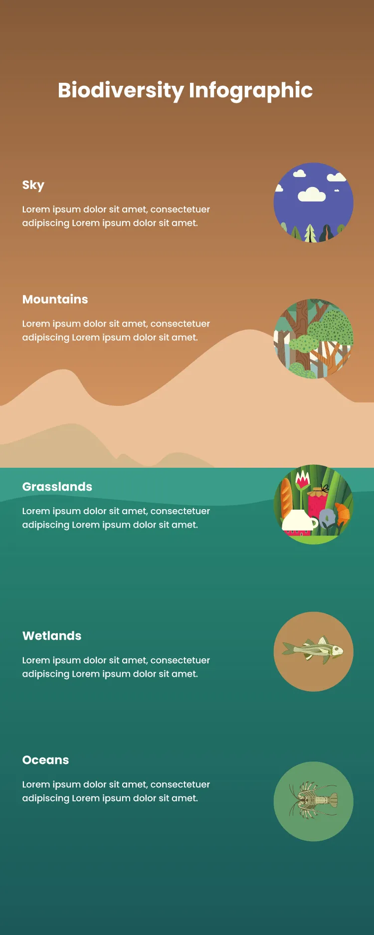 Biodiversity Infographic