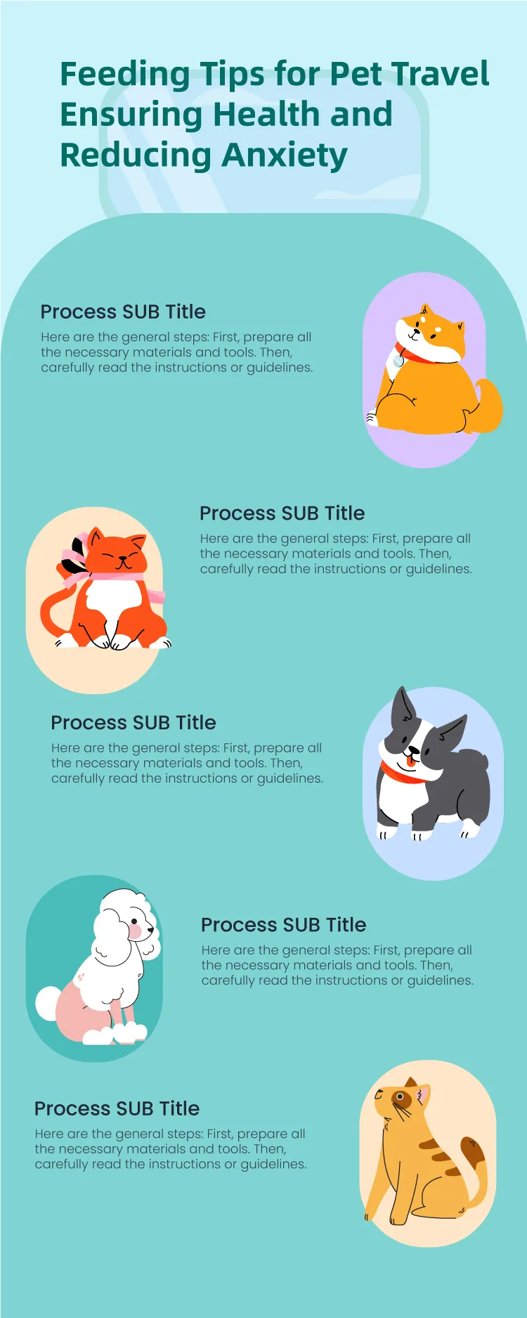 Feeding Tips for Pet Travel: Ensuring Health and Reducing Anxiety