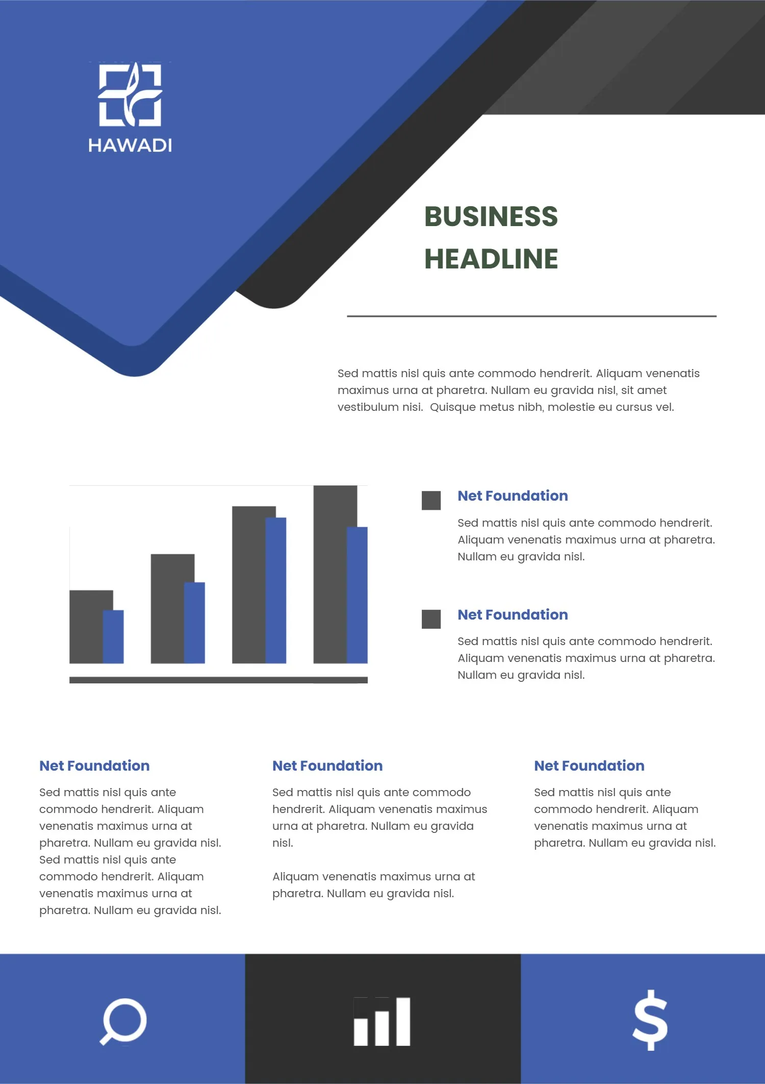 Business Report and Presentation Template